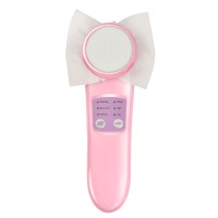 High quality skin-care product rechargeable ion skin facial beauty device